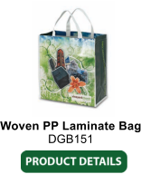 Woven PP Laminate Bag DGB151