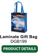 Laminate Gift Bag DGB199